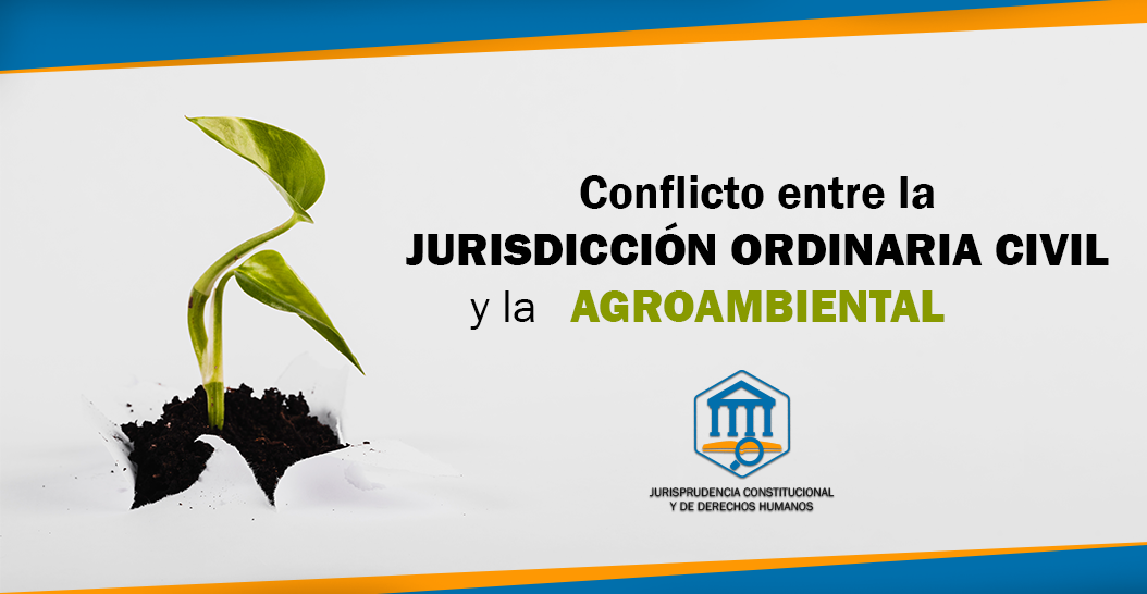 CONFLICTO ENTRE LA JURISDICCIÓN ORDINARIA CIVIL Y LA AGROAMBIENTAL
