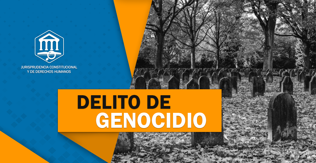 DELITO DE GENOCIDIO