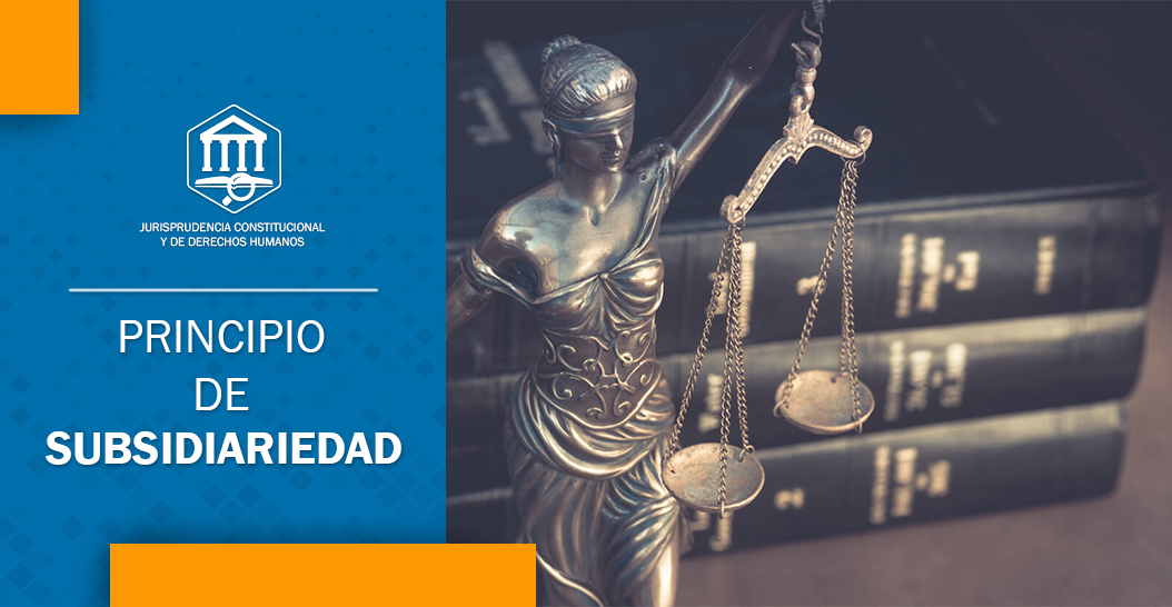 PRINCIPIO DE SUBSIDIARIEDAD