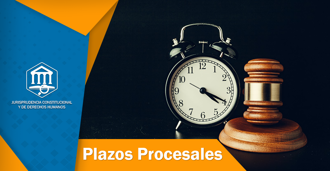 PLAZOS PROCESALES