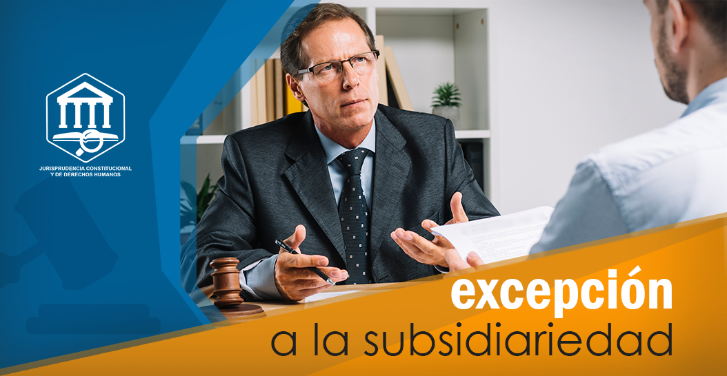 EXCEPCIÓN A LA SUBSIDIARIEDAD