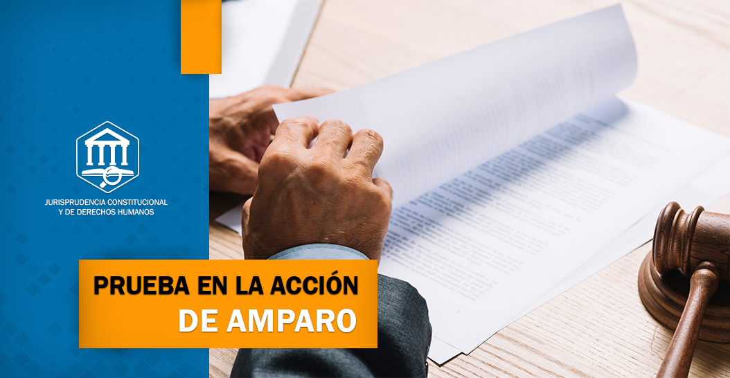 PRUEBA EN LA ACCIÓN DE AMPARO