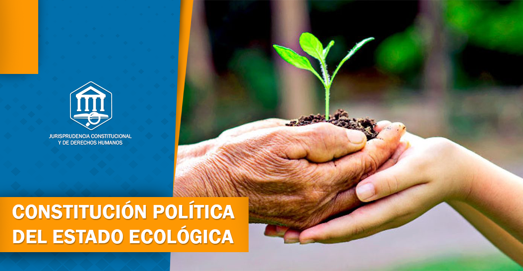 CONSTITUCIÓN POLÍTICA DEL ESTADO ECOLÓGICA