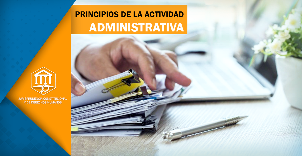 Principios de la actividad administrativa