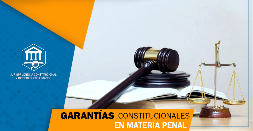Garantías constitucionales