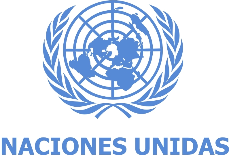 Organización de Naciones Unidas