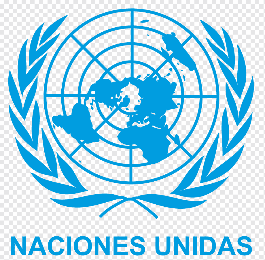 Organización de Naciones Unidas